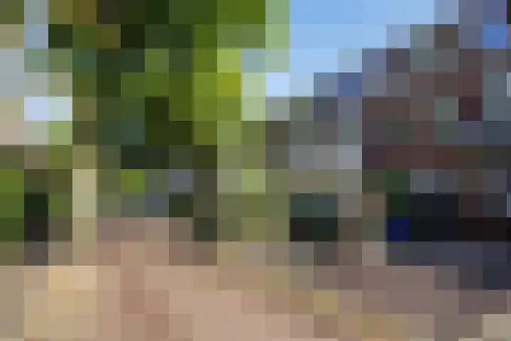 Leeuwendaallaan 103 Rijswijk thumbnail 42
