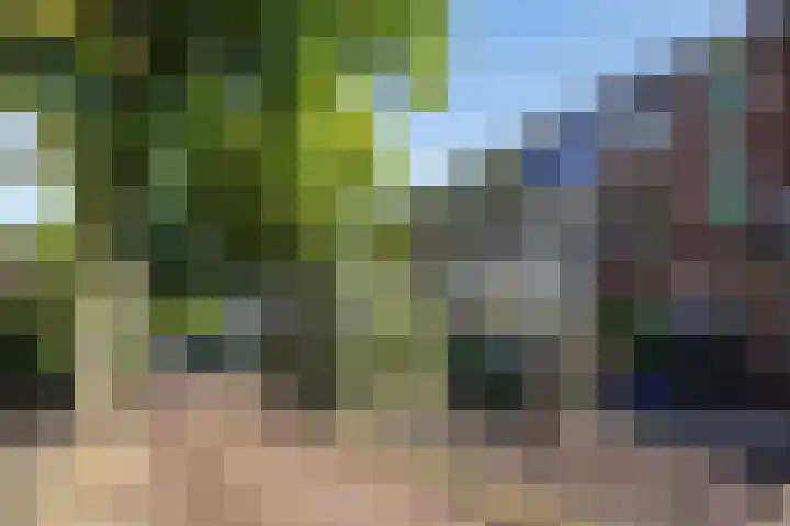 Leeuwendaallaan 103 Rijswijk thumbnail 43