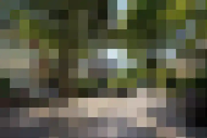 Leeuwendaallaan 103 Rijswijk thumbnail 44