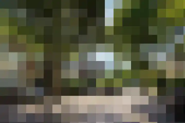 Leeuwendaallaan 103 Rijswijk thumbnail 45