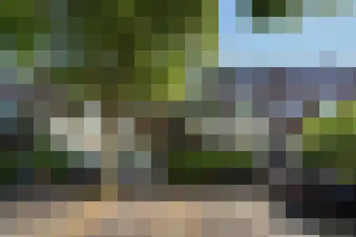Leeuwendaallaan 103 Rijswijk thumbnail 46