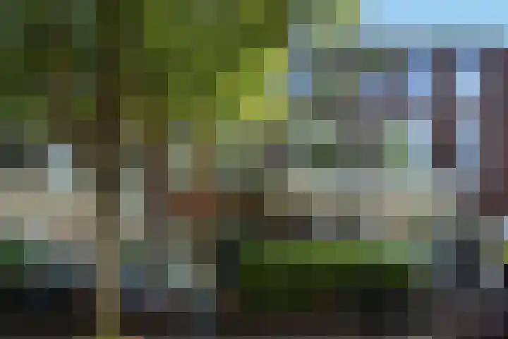 Leeuwendaallaan 103 Rijswijk thumbnail 47