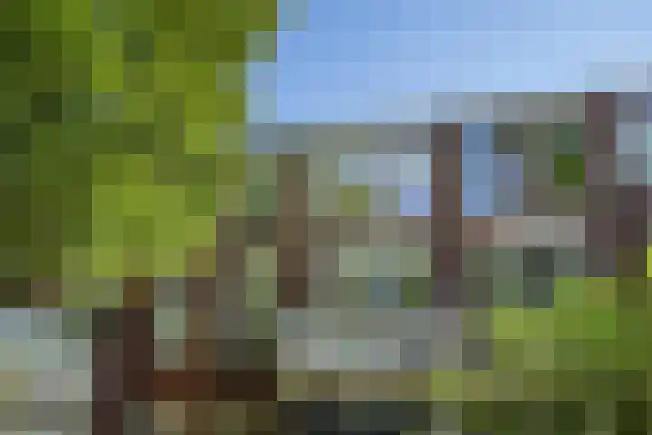 Leeuwendaallaan 103 Rijswijk thumbnail 48