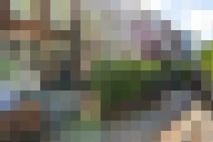 Leeuwendaallaan 103 Rijswijk thumbnail 5