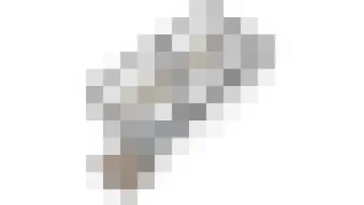 Leeuwendaallaan 103 Rijswijk thumbnail 52