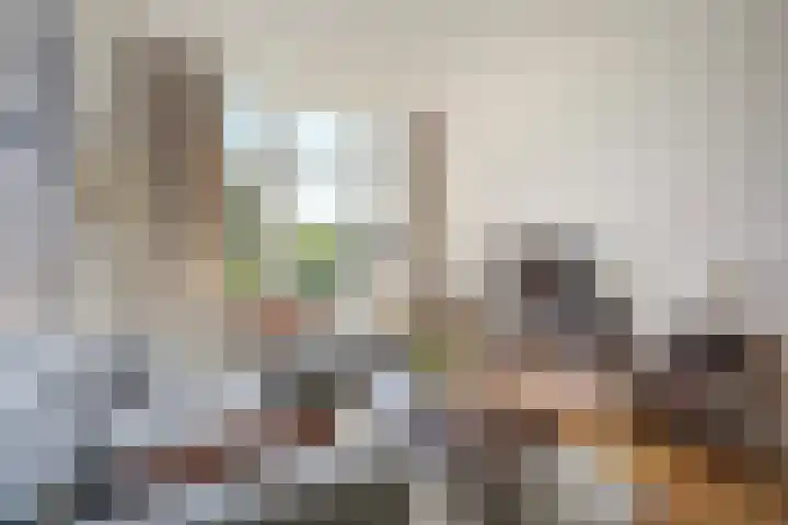 Leeuwendaallaan 103 Rijswijk thumbnail 8