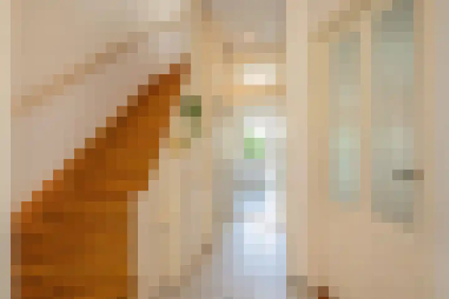 Leeuwendaallaan 110 Rijswijk thumbnail 10
