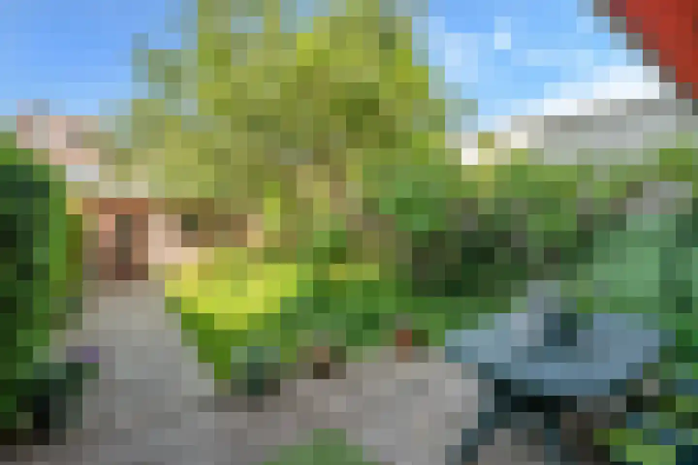 Leeuwendaallaan 110 Rijswijk thumbnail 21