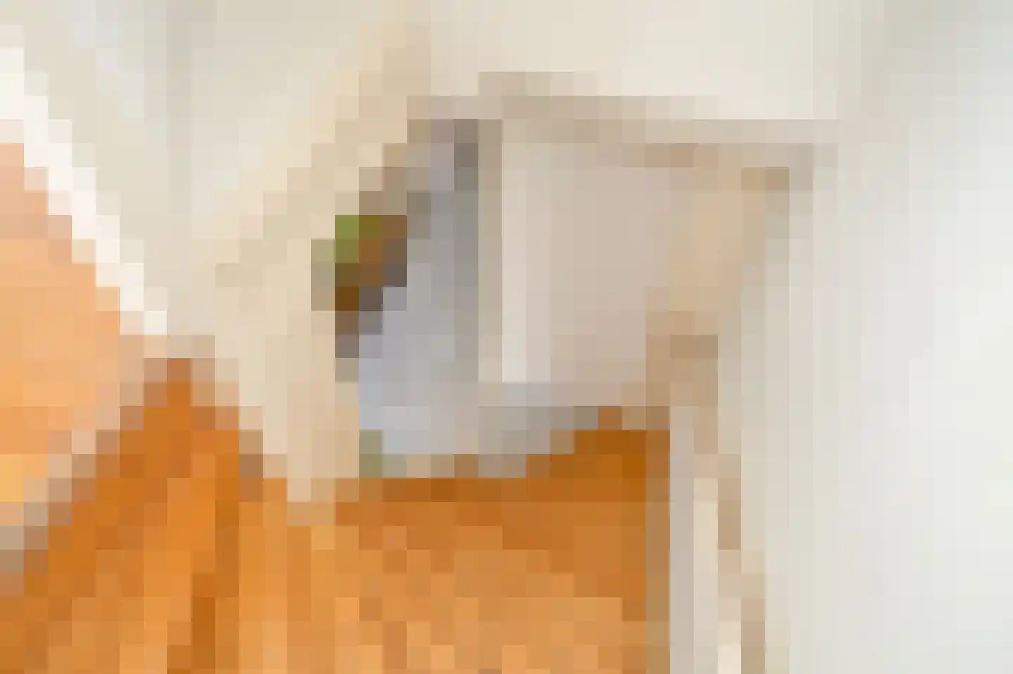 Leeuwendaallaan 110 Rijswijk thumbnail 25