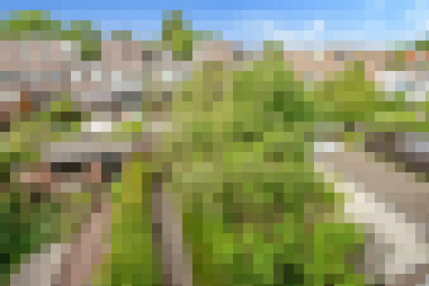 Leeuwendaallaan 110 Rijswijk thumbnail 32