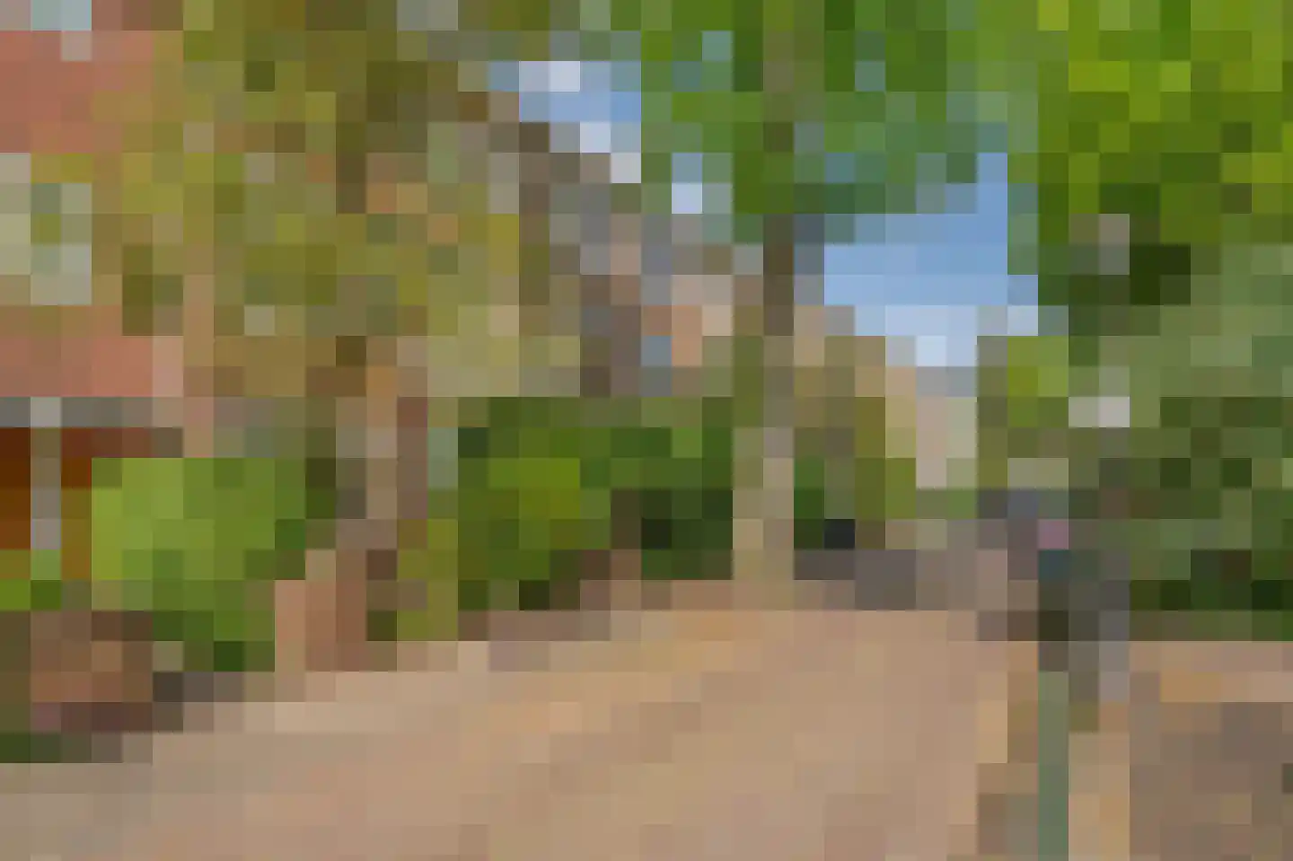 Leeuwendaallaan 110 Rijswijk thumbnail 36