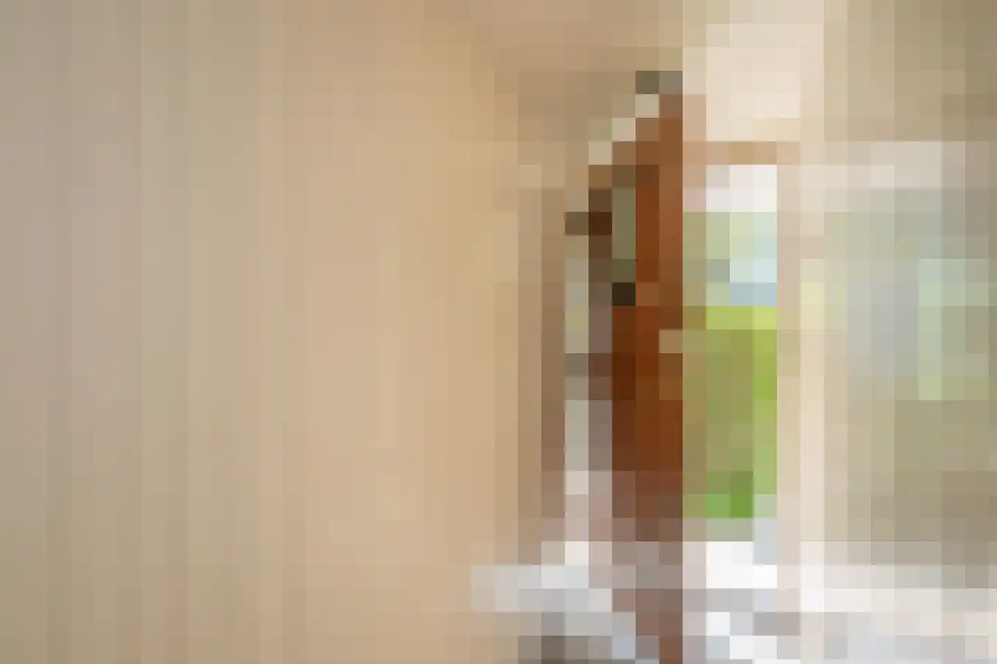 Leeuwendaallaan 110 Rijswijk thumbnail 7