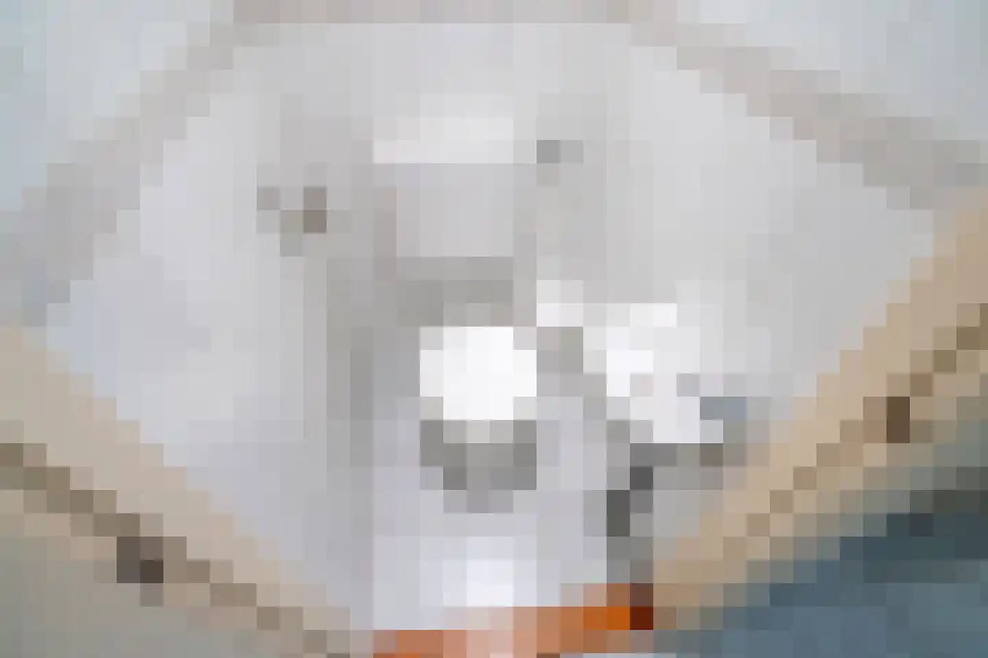 Leeuwendaallaan 110 Rijswijk thumbnail 8