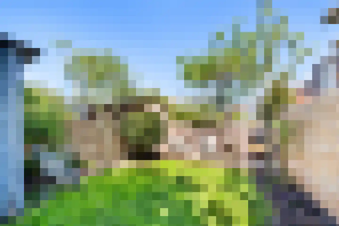 Leeuwendaallaan 121 Rijswijk thumbnail 17