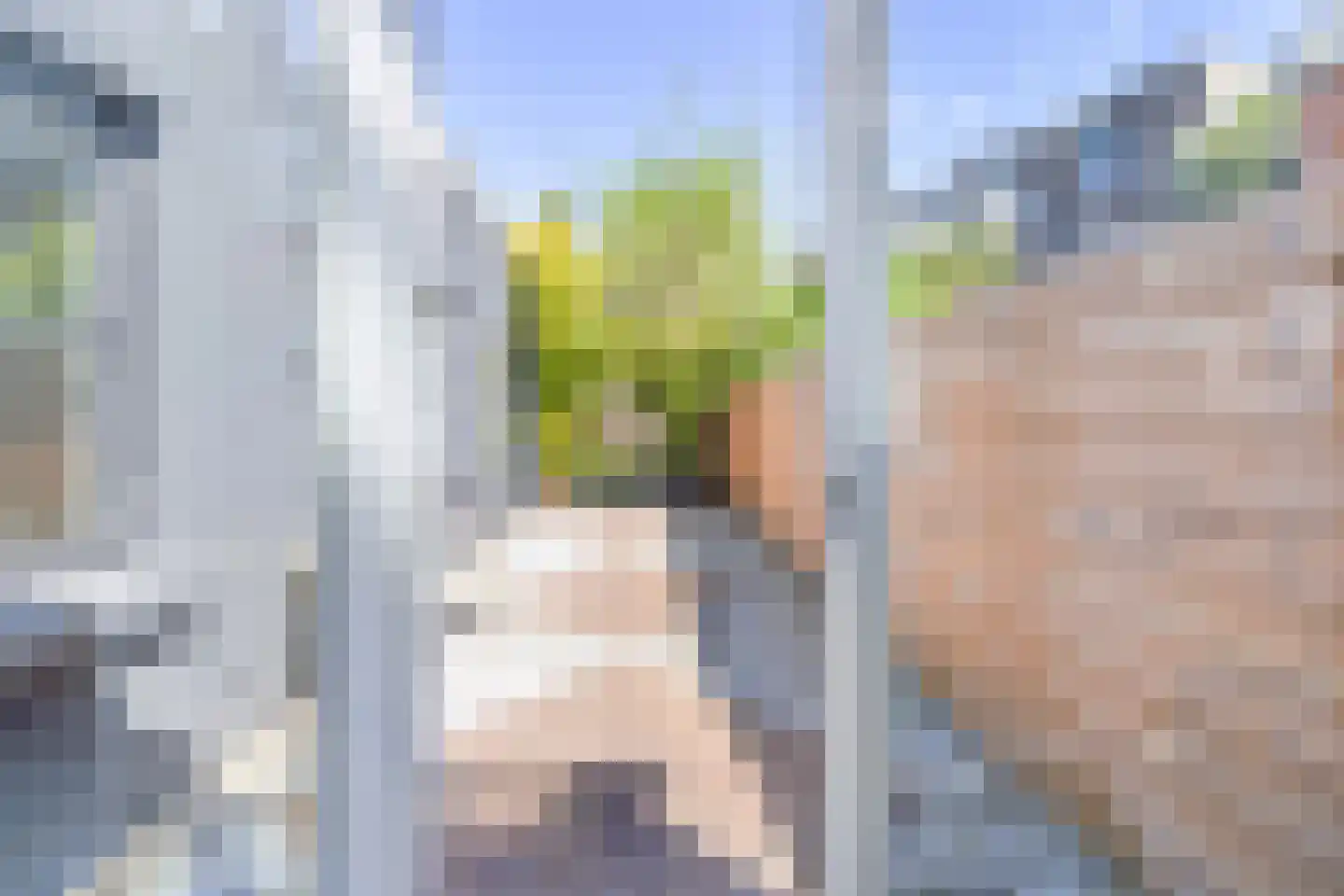 Leeuwendaallaan 121 Rijswijk thumbnail 19