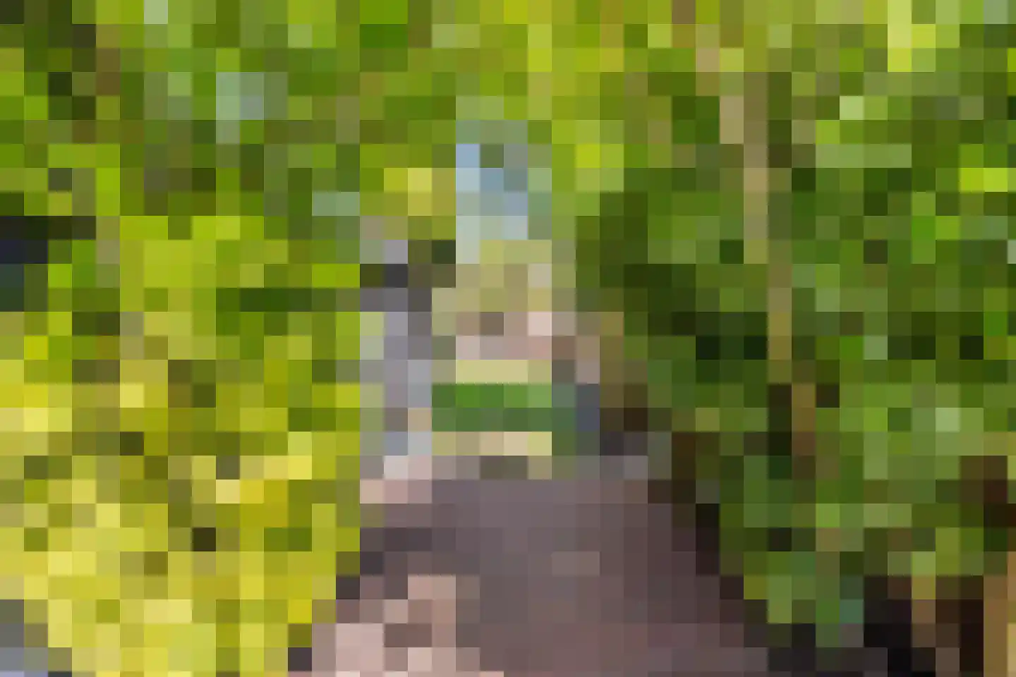 Leeuwendaallaan 121 Rijswijk thumbnail 20