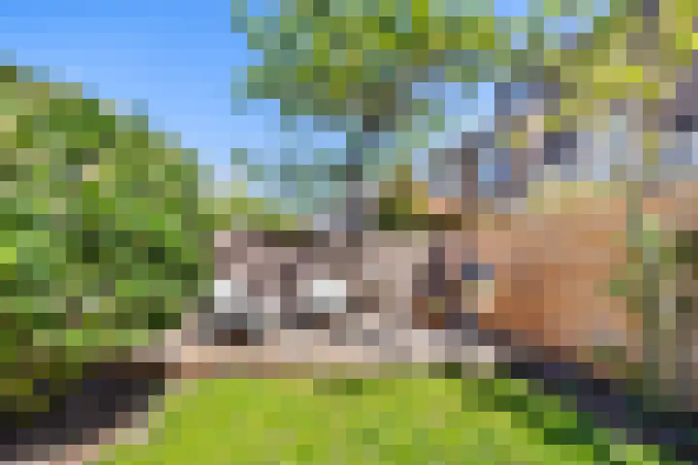 Leeuwendaallaan 121 Rijswijk thumbnail 21
