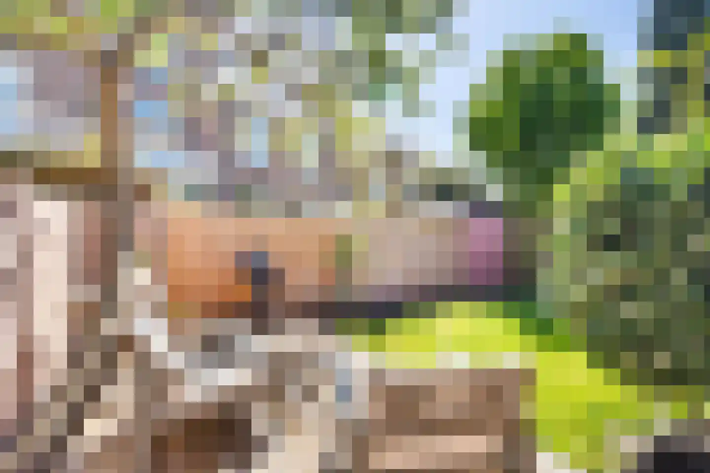 Leeuwendaallaan 121 Rijswijk thumbnail 22