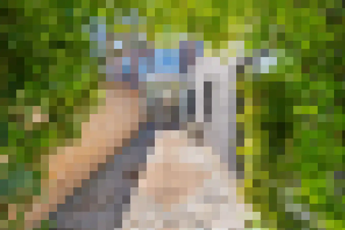 Leeuwendaallaan 121 Rijswijk thumbnail 23