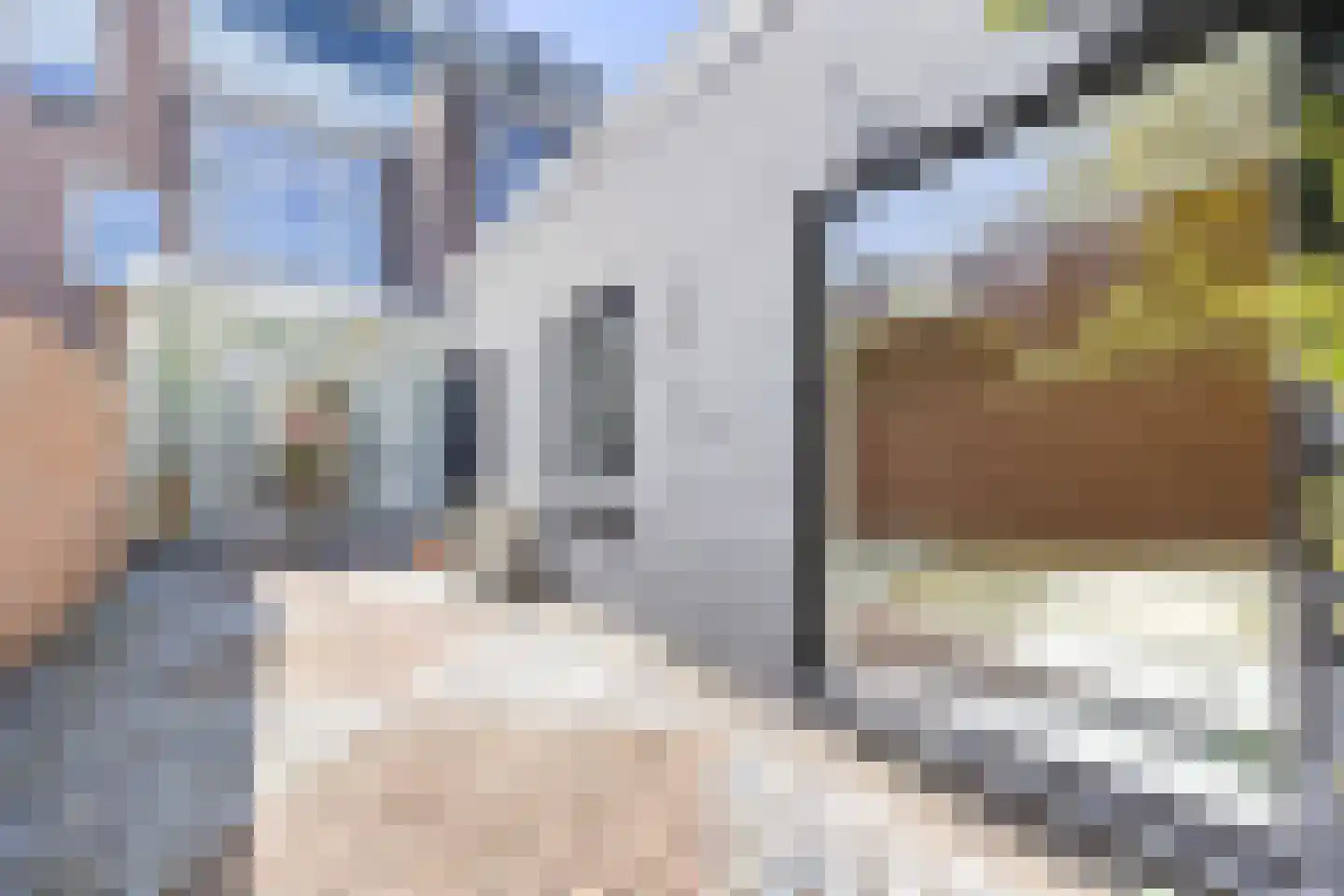 Leeuwendaallaan 121 Rijswijk thumbnail 24
