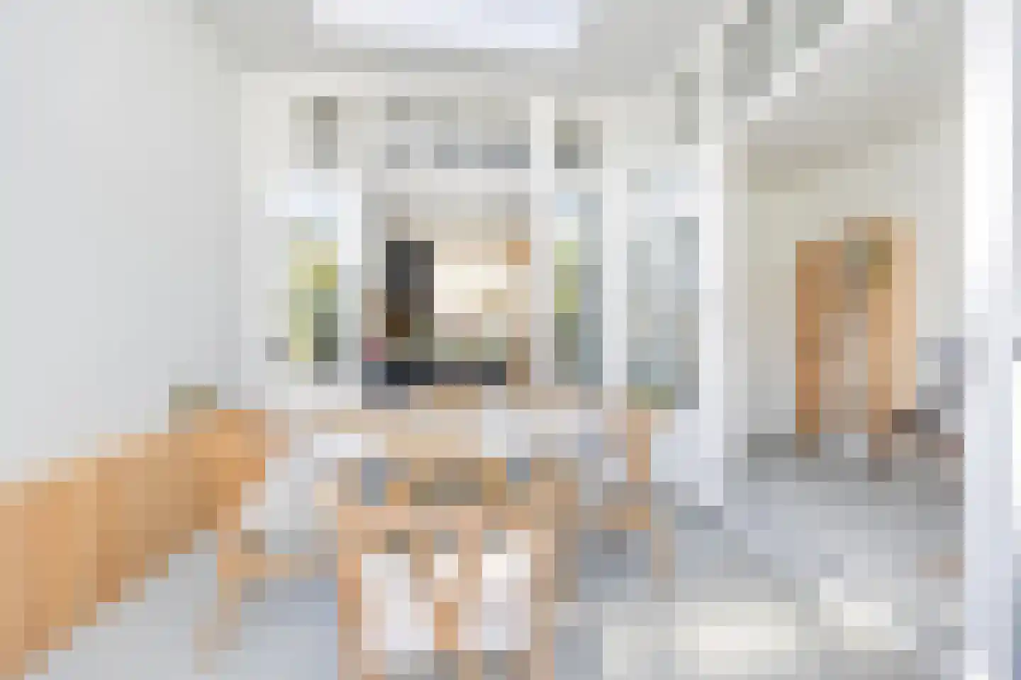 Leeuwendaallaan 121 Rijswijk thumbnail 25