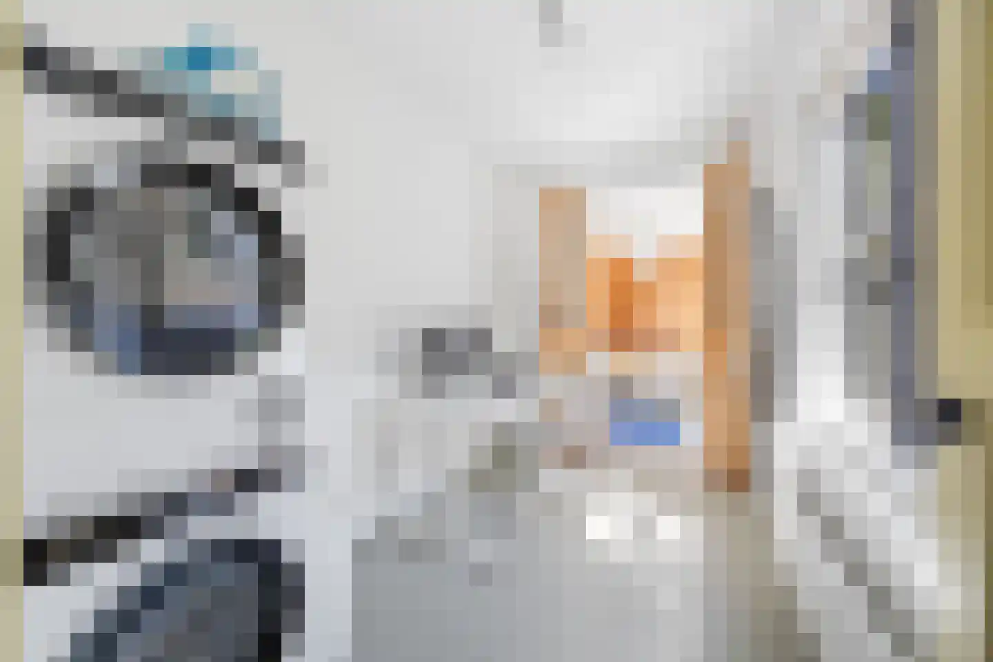 Leeuwendaallaan 121 Rijswijk thumbnail 29