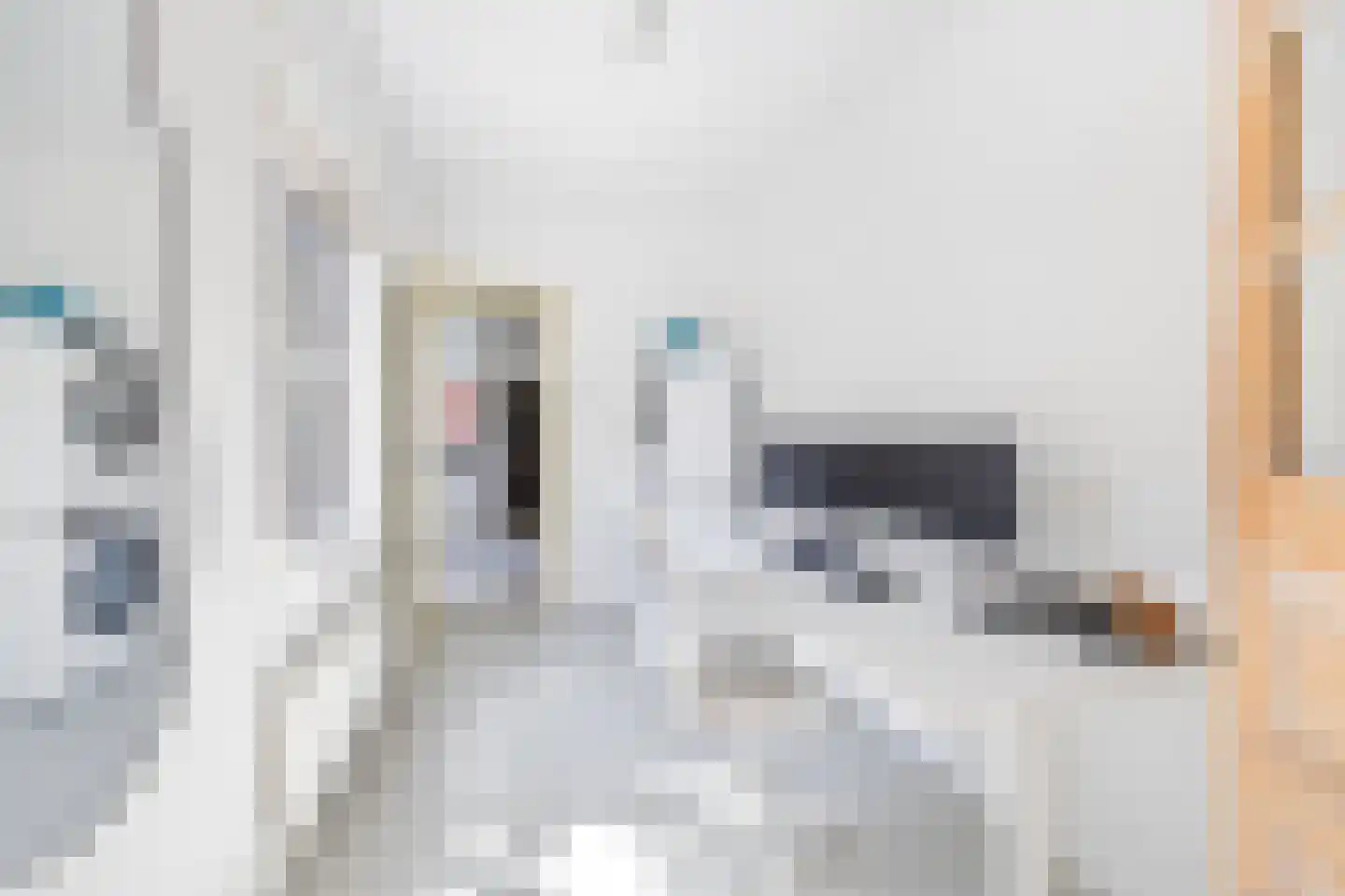 Leeuwendaallaan 121 Rijswijk thumbnail 30