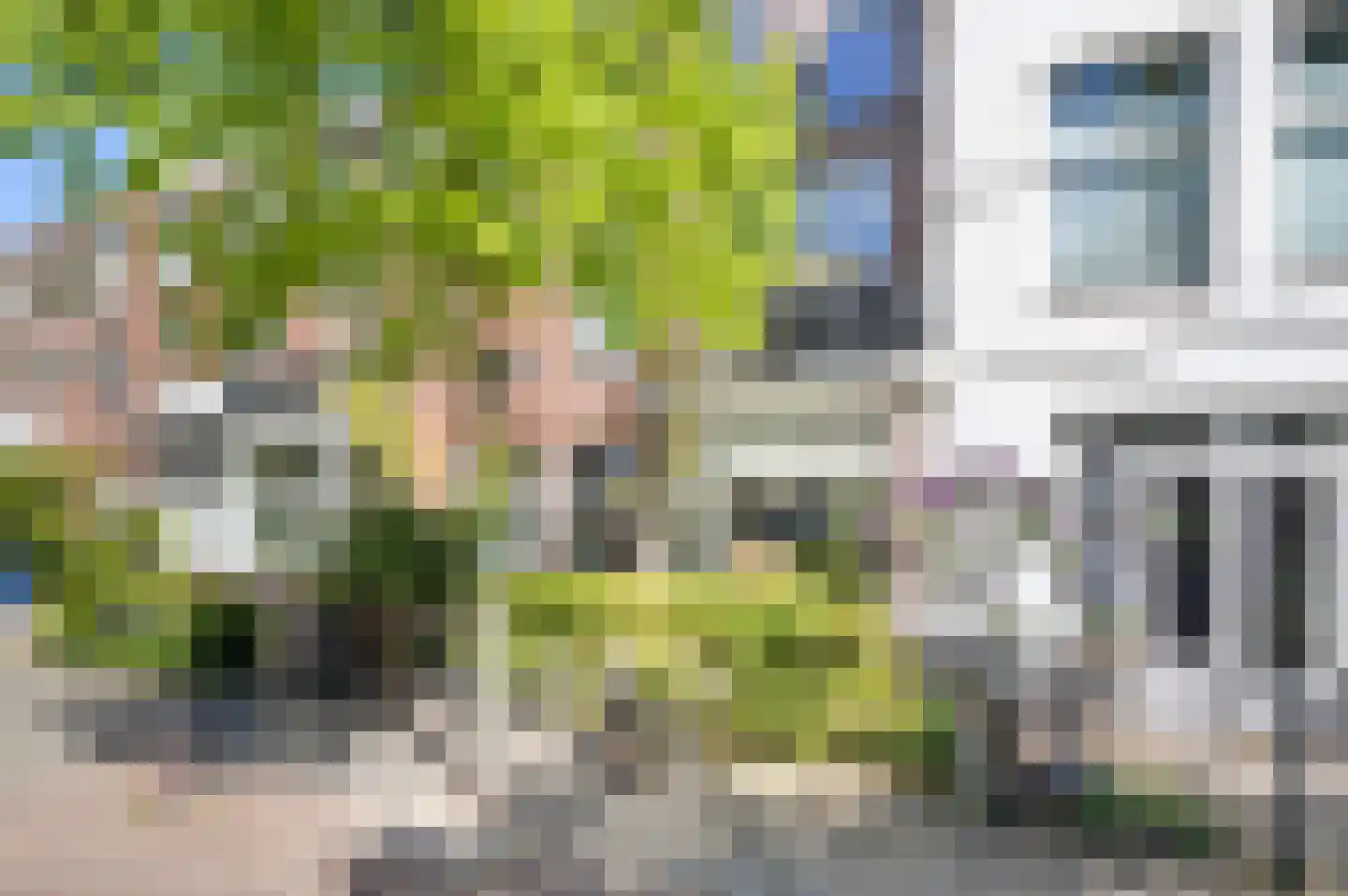 Leeuwendaallaan 121 Rijswijk thumbnail 35
