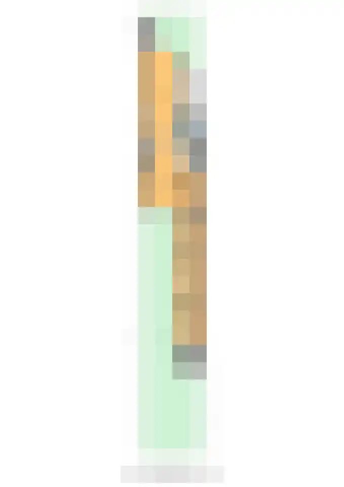 Leeuwendaallaan 121 Rijswijk thumbnail 36