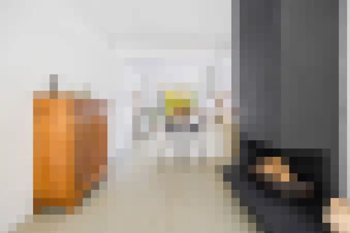 Leeuwendaallaan 121 Rijswijk thumbnail 8