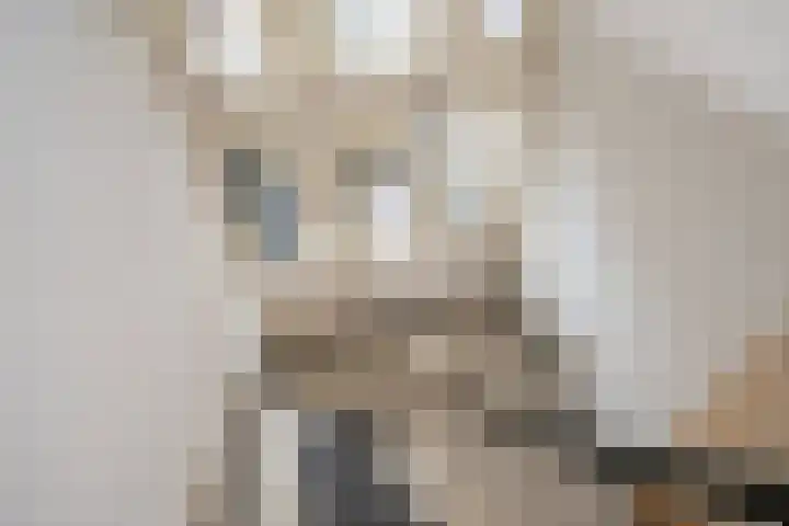 Leeuwendaallaan 19 Rijswijk thumbnail 10