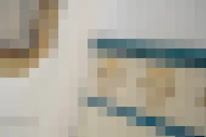 Leeuwendaallaan 19 Rijswijk thumbnail 11