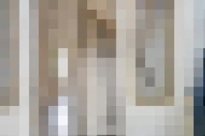Leeuwendaallaan 19 Rijswijk thumbnail 13