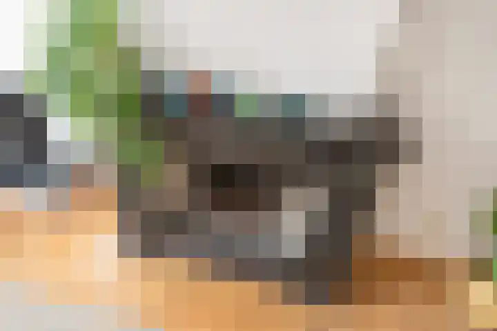 Leeuwendaallaan 19 Rijswijk thumbnail 16