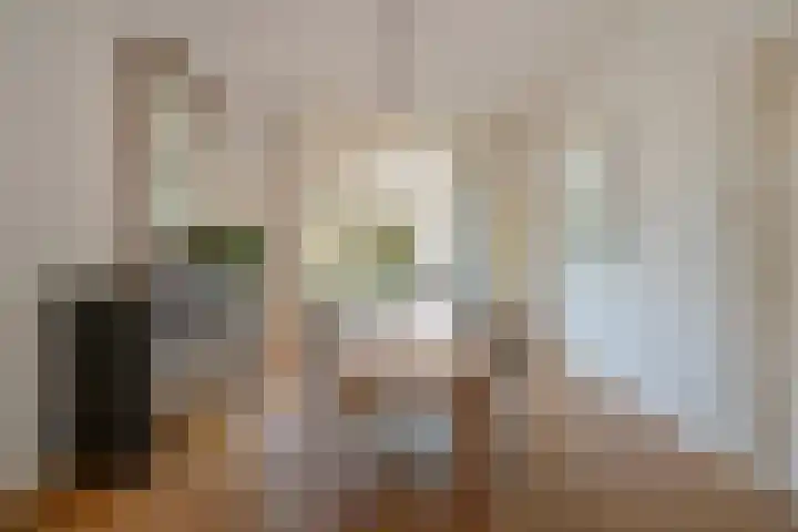 Leeuwendaallaan 19 Rijswijk thumbnail 21