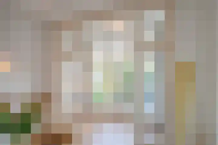 Leeuwendaallaan 19 Rijswijk thumbnail 22