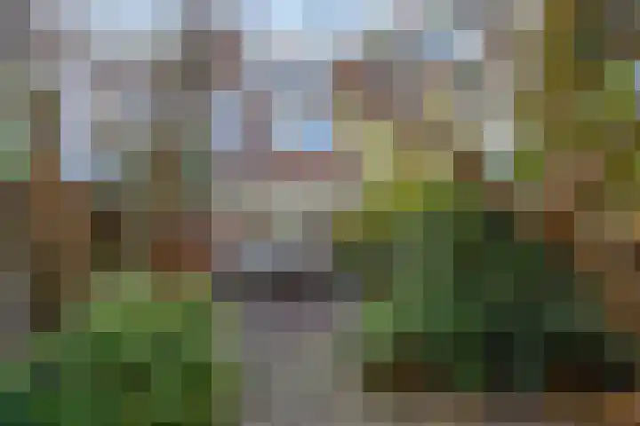 Leeuwendaallaan 19 Rijswijk thumbnail 24