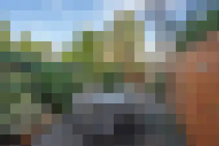 Leeuwendaallaan 19 Rijswijk thumbnail 25