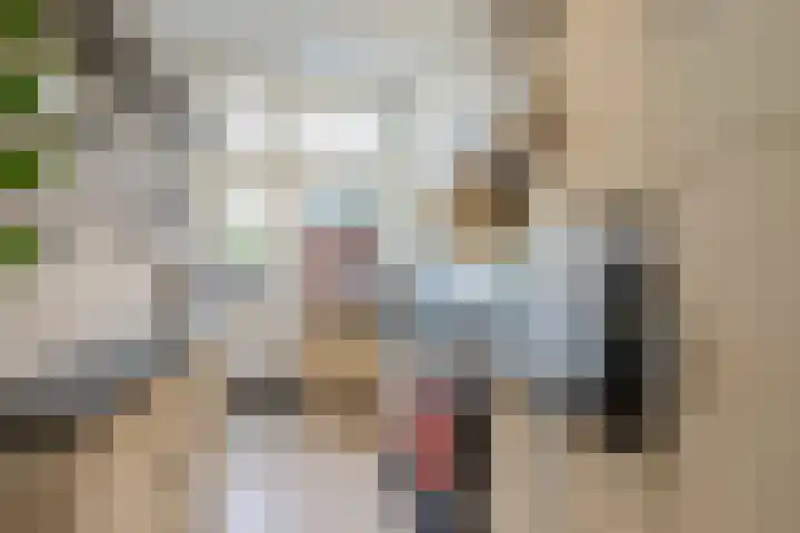 Leeuwendaallaan 19 Rijswijk thumbnail 27