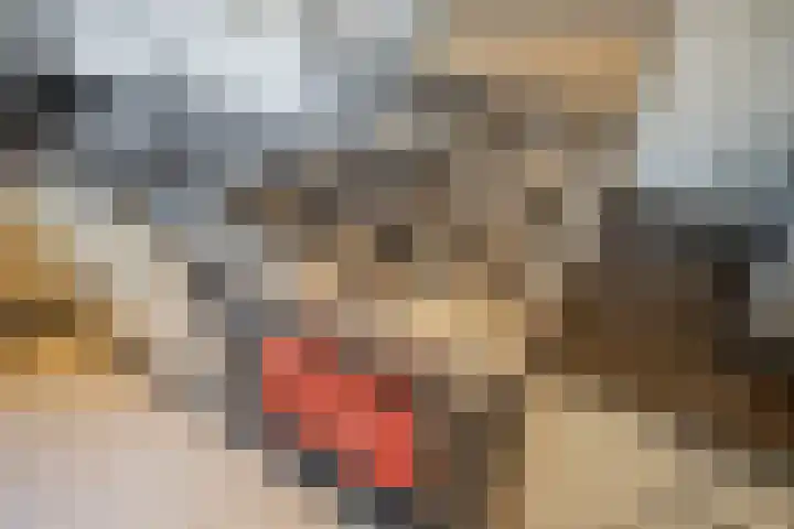 Leeuwendaallaan 19 Rijswijk thumbnail 28