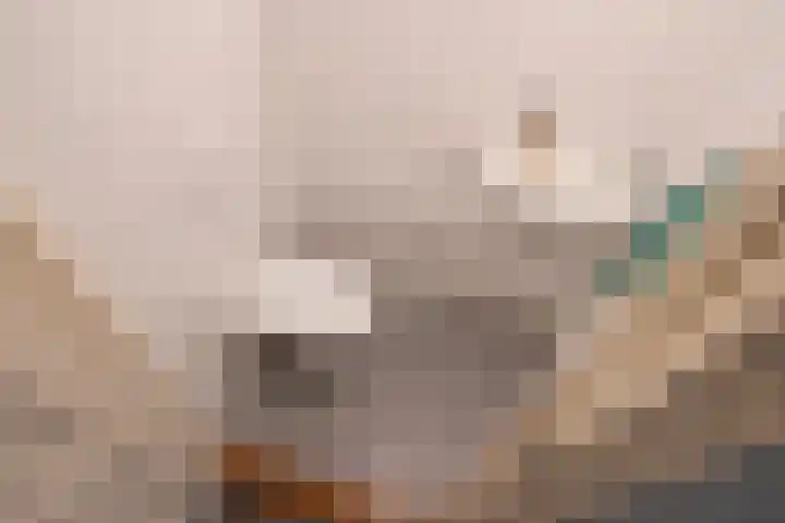 Leeuwendaallaan 19 Rijswijk thumbnail 29