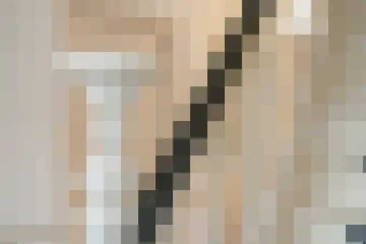 Leeuwendaallaan 19 Rijswijk thumbnail 30