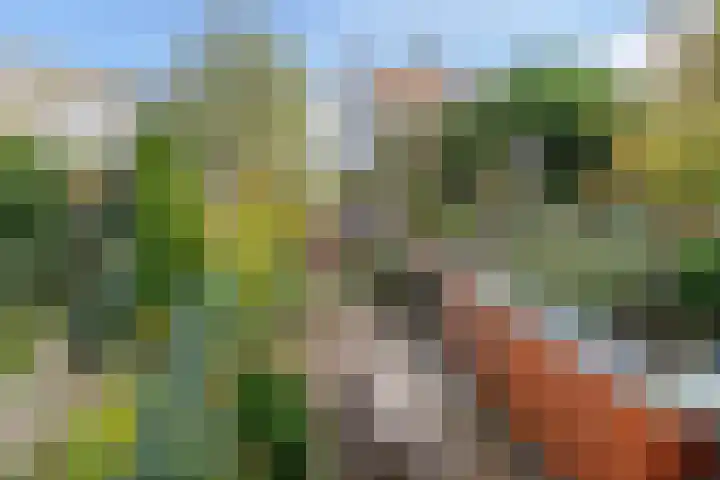Leeuwendaallaan 19 Rijswijk thumbnail 32