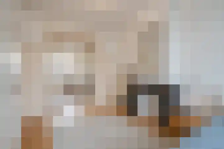 Leeuwendaallaan 19 Rijswijk thumbnail 33