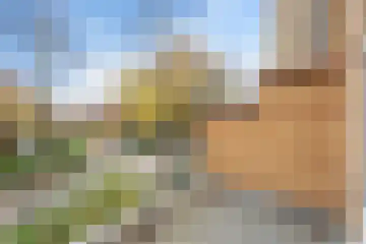 Leeuwendaallaan 19 Rijswijk thumbnail 36