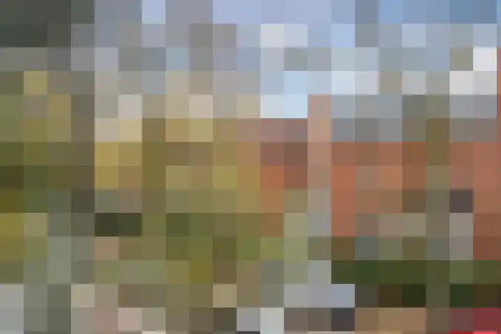 Leeuwendaallaan 19 Rijswijk thumbnail 37