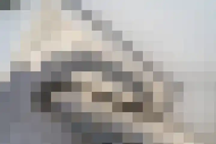 Leeuwendaallaan 19 Rijswijk thumbnail 41