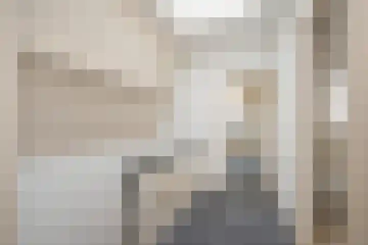 Leeuwendaallaan 19 Rijswijk thumbnail 42