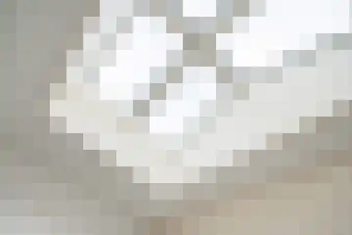 Leeuwendaallaan 19 Rijswijk thumbnail 43