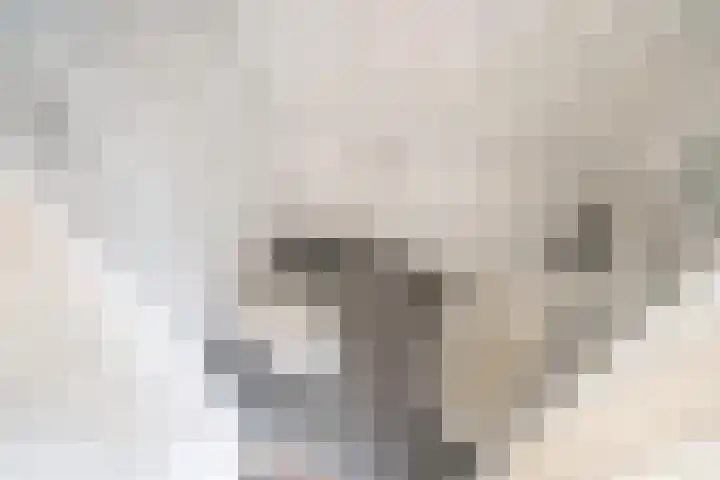 Leeuwendaallaan 19 Rijswijk thumbnail 52